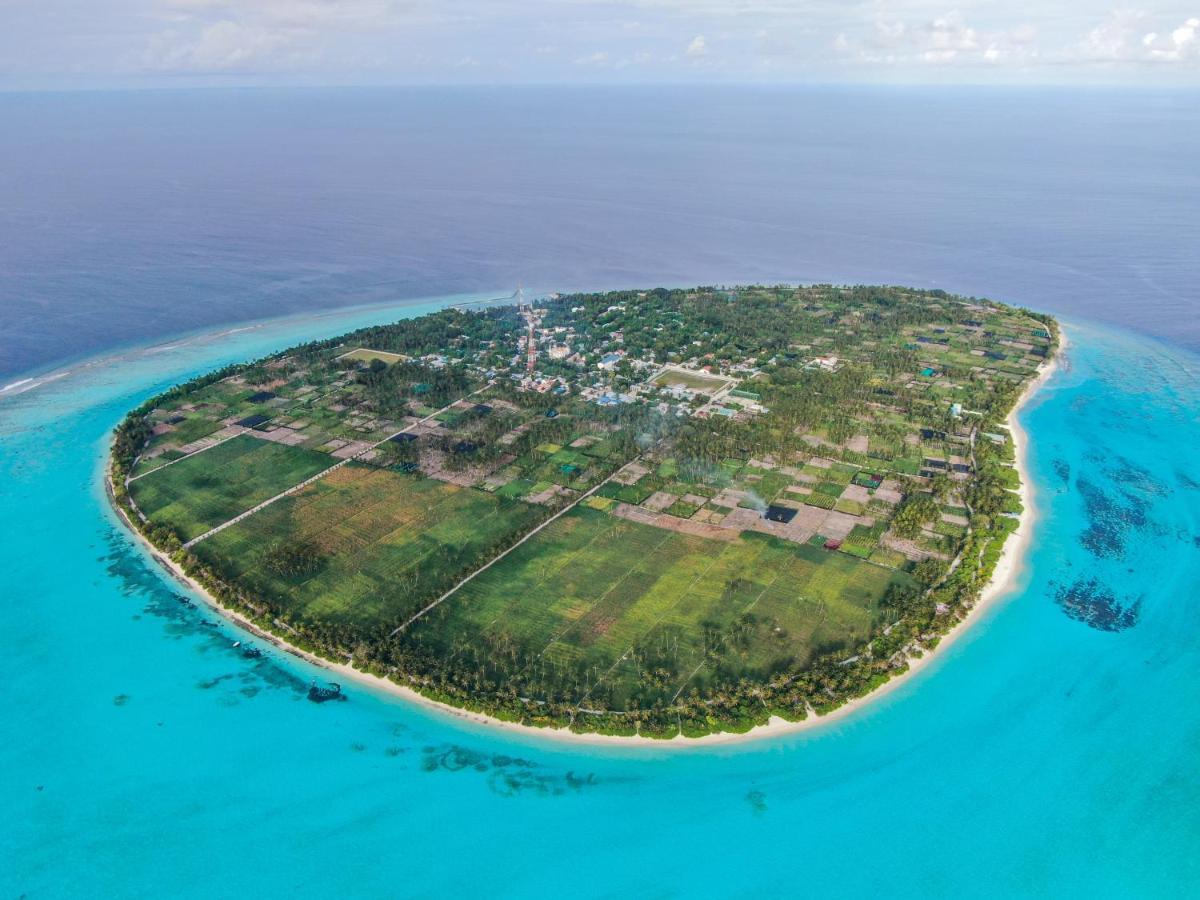 Jeym Lodge Thoddoo Exteriör bild
